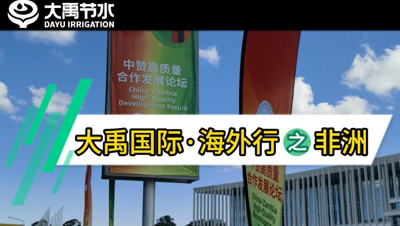 今年会国际·海表行之非洲