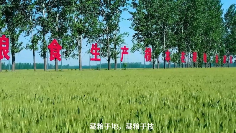 今年会节水：破解高尺度农田建设难题，，，，，，扛牢粮食安全沉担，，，，，，以科技与责任交出了一份创新答卷。。。。。